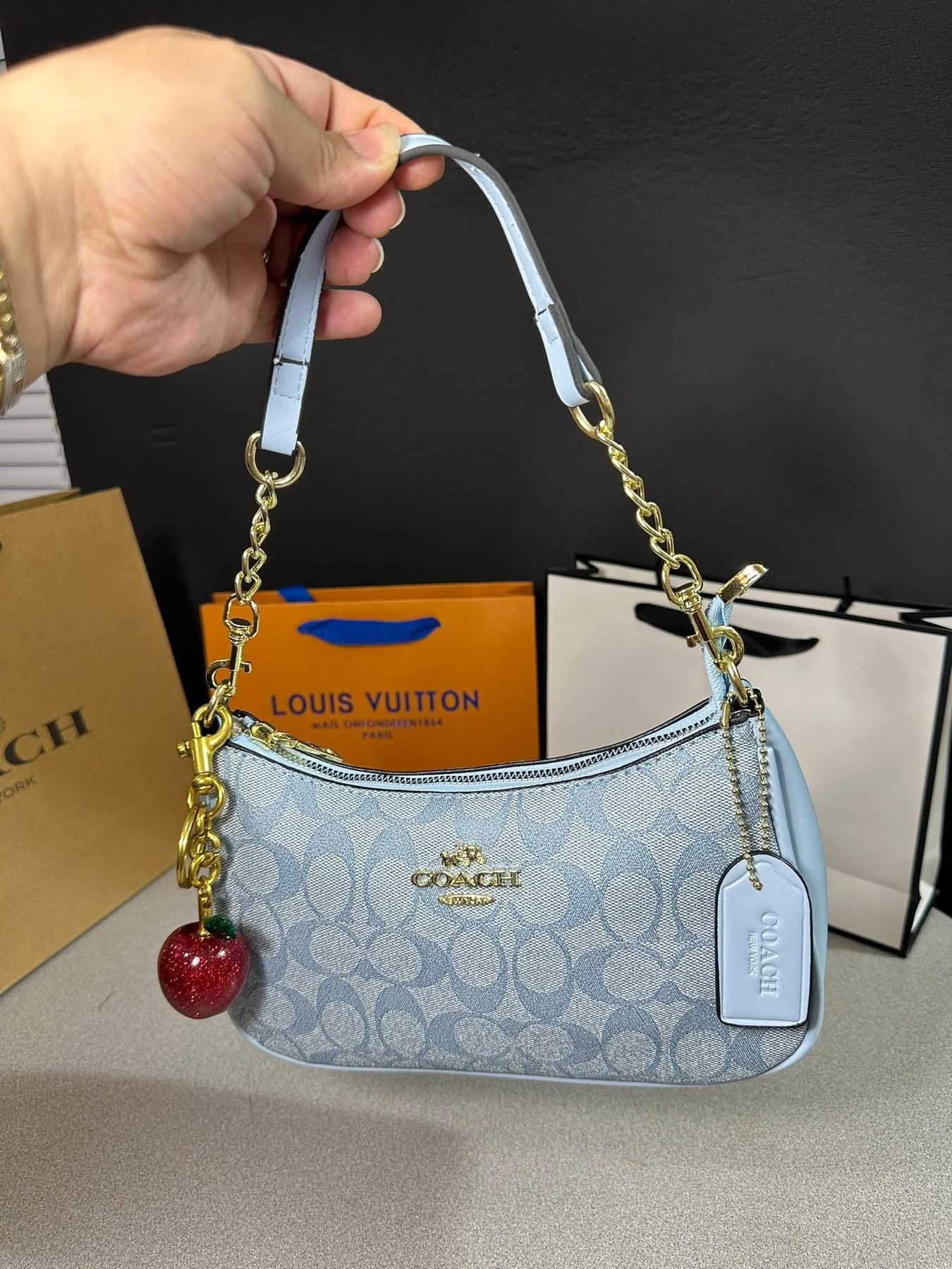 Blue CC Purse