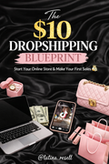 Dropshipping Guide