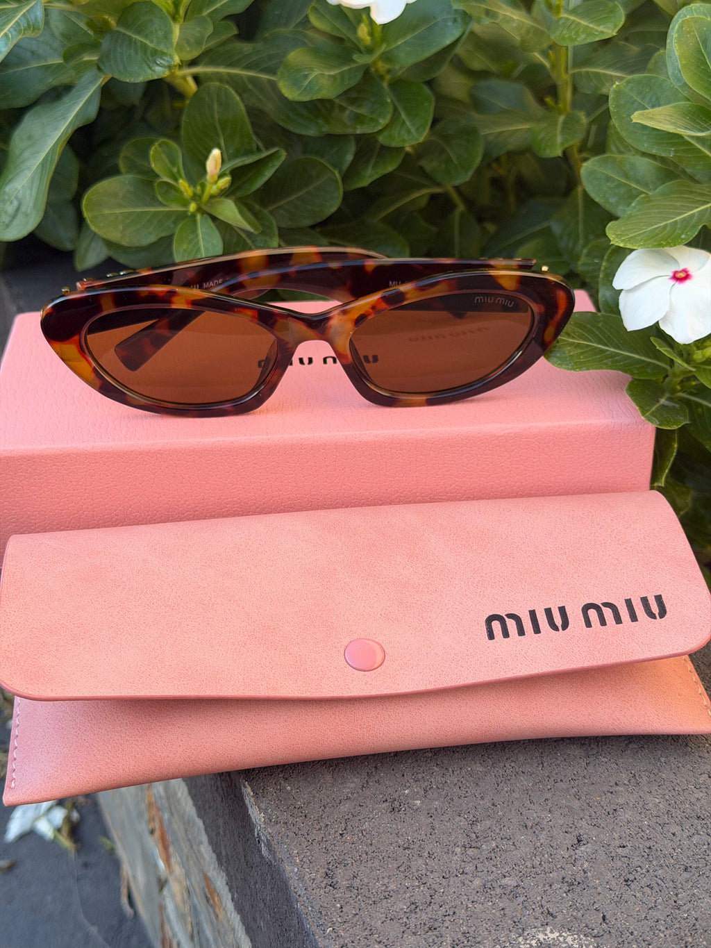 Brown & black Sunglasses