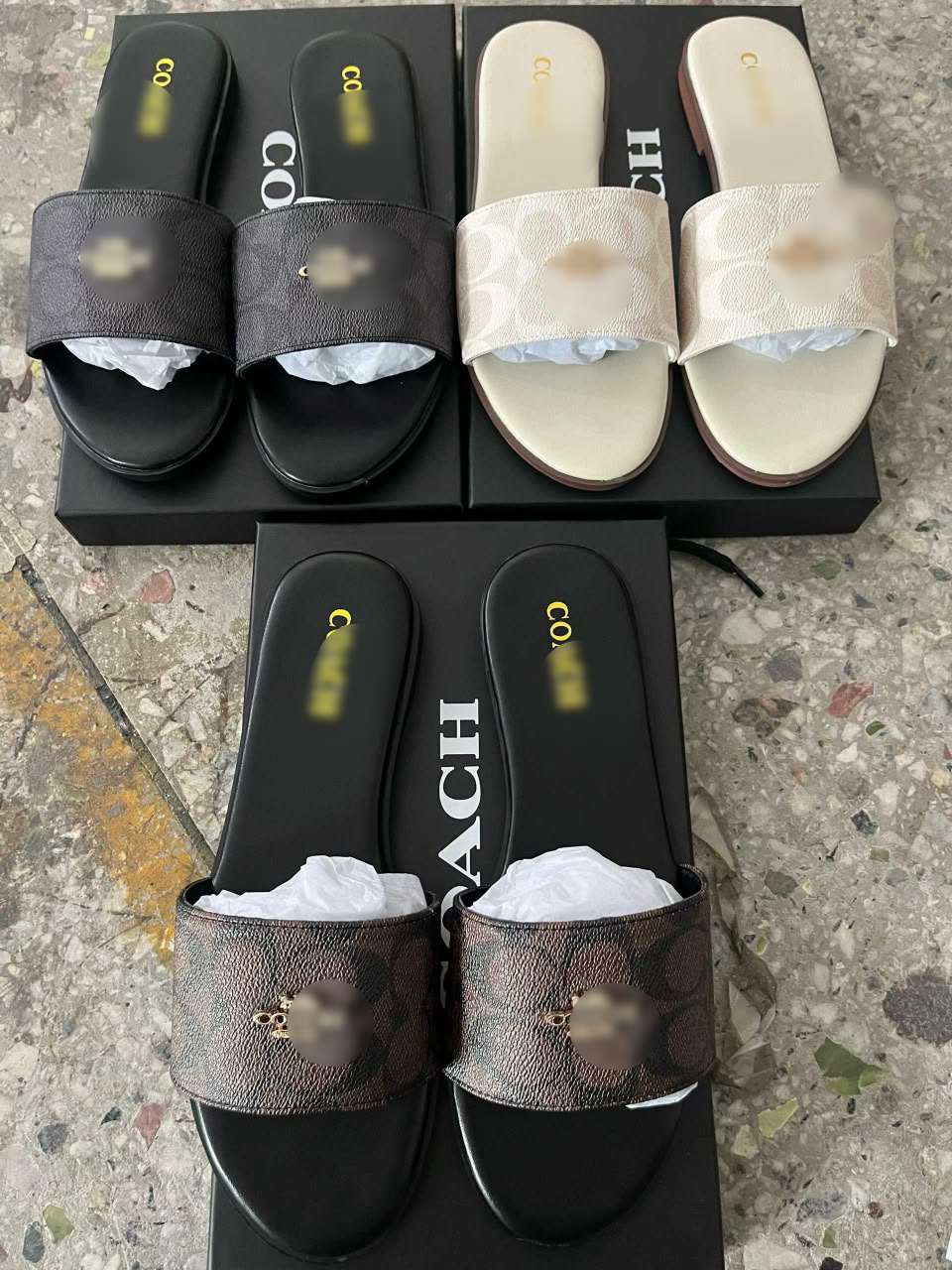 Summer Slides